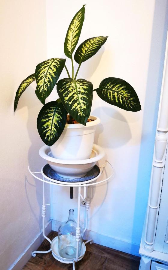 Apartamento Gaivota, Vida à Portuguesa Portimão Esterno foto